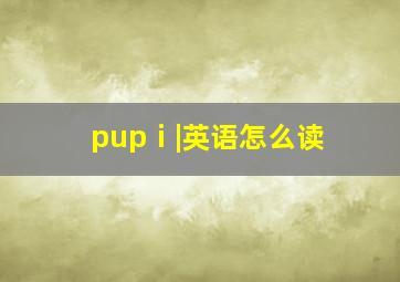 pupⅰ|英语怎么读